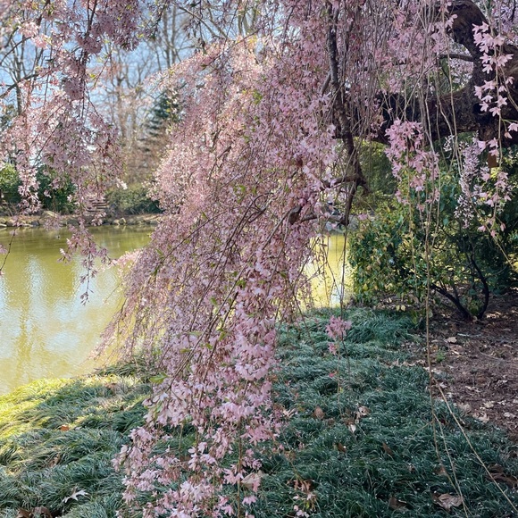 Meet your Posher, Katy - Picture 9 of 12